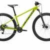 Specialized ROCKHOPPER 29 SATIN OLIVE GREEN / BLACK - S